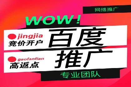 百度竞价代运营公司成功案例分析