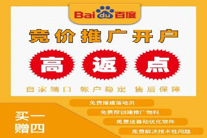 竞价代运营助力电商销量翻倍案例